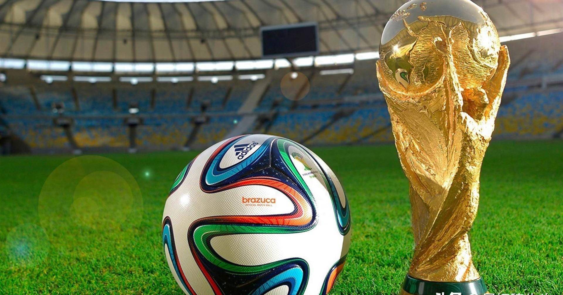 的专业水平 的专业水平