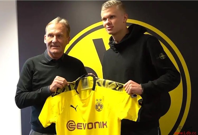 战队出走 战队出走